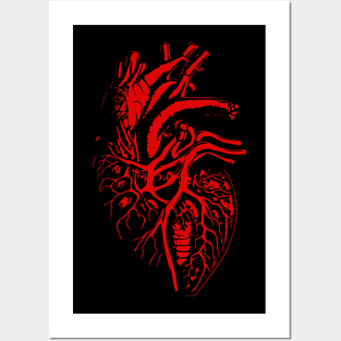 anatomical human heart Posters and Art